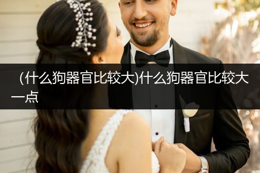（什么狗器官比較大)什么狗器官比較大一點(diǎn)