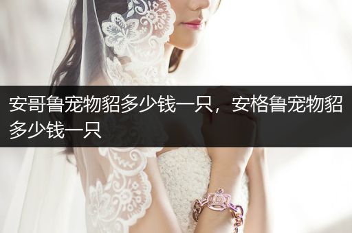 安哥魯寵物貂多少錢一只，安格魯寵物貂多少錢一只