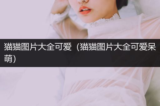 貓貓圖片大全可愛（貓貓圖片大全可愛呆萌）