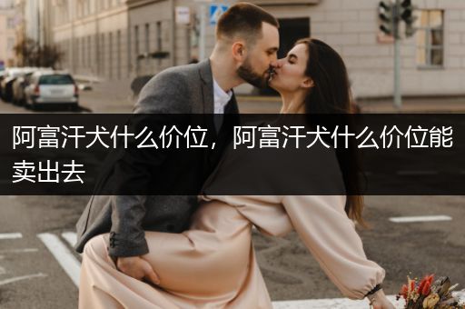 阿富汗犬什么價位，阿富汗犬什么價位能賣出去