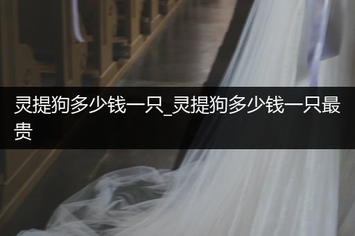 靈提狗多少錢一只_靈提狗多少錢一只最貴