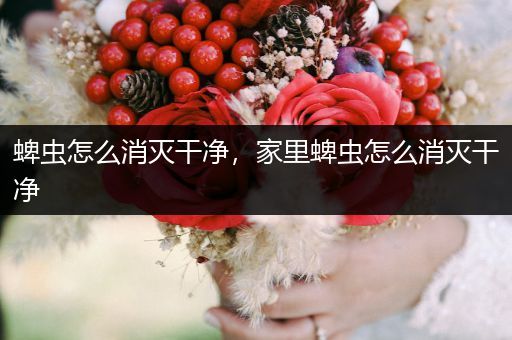 蜱蟲怎么消滅干凈，家里蜱蟲怎么消滅干凈