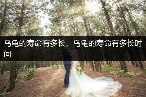 烏龜?shù)膲勖卸嚅L(zhǎng)，烏龜?shù)膲勖卸嚅L(zhǎng)時(shí)間