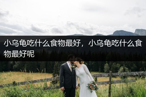 小烏龜吃什么食物最好，小烏龜吃什么食物最好呢