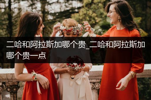 二哈和阿拉斯加哪個(gè)貴_二哈和阿拉斯加哪個(gè)貴一點(diǎn)