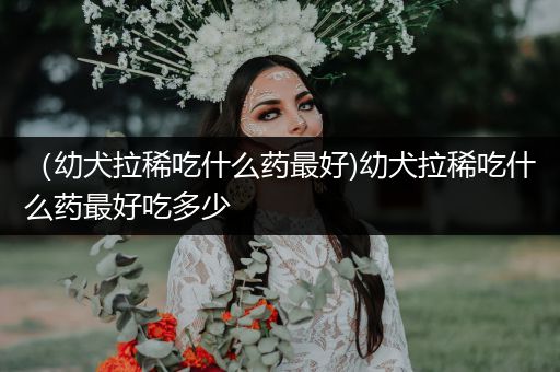 （幼犬拉稀吃什么藥最好)幼犬拉稀吃什么藥最好吃多少