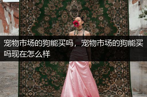寵物市場的狗能買嗎，寵物市場的狗能買嗎現(xiàn)在怎么樣