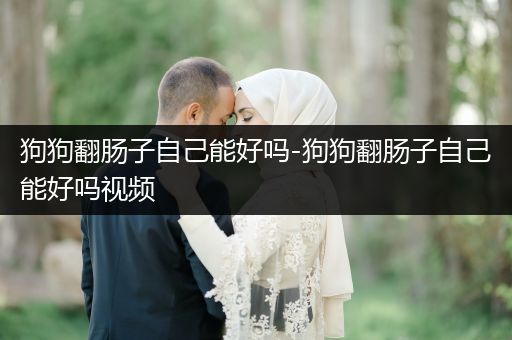 狗狗翻腸子自己能好嗎-狗狗翻腸子自己能好嗎視頻