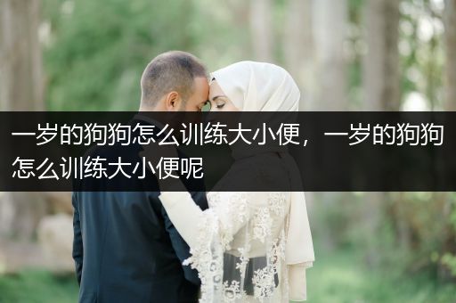 一歲的狗狗怎么訓(xùn)練大小便，一歲的狗狗怎么訓(xùn)練大小便呢