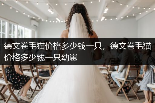 德文卷毛貓價格多少錢一只，德文卷毛貓價格多少錢一只幼崽