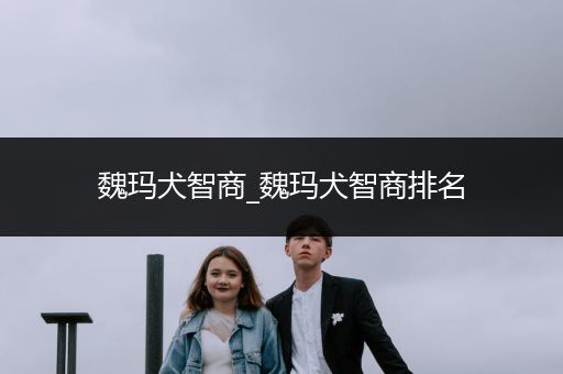 魏瑪犬智商_魏瑪犬智商排名