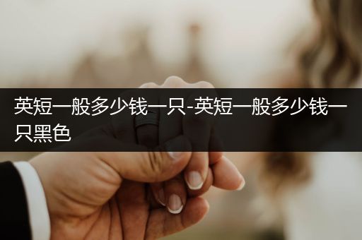英短一般多少錢(qián)一只-英短一般多少錢(qián)一只黑色