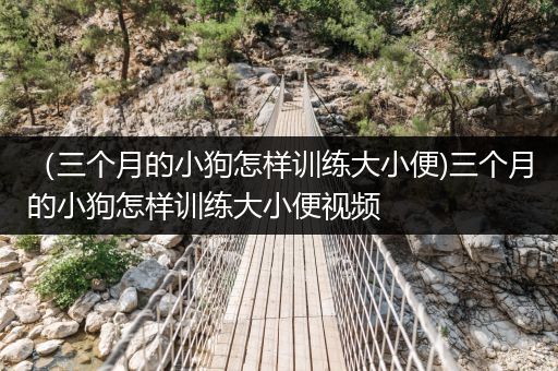 （三個(gè)月的小狗怎樣訓(xùn)練大小便)三個(gè)月的小狗怎樣訓(xùn)練大小便視頻