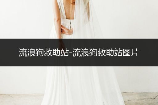 流浪狗救助站-流浪狗救助站圖片