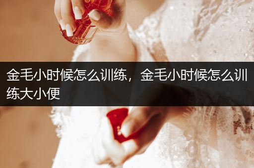 金毛小時候怎么訓練，金毛小時候怎么訓練大小便