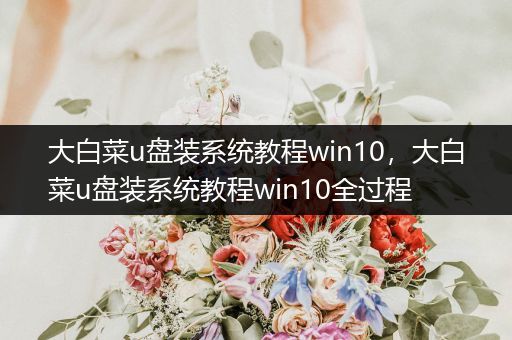 大白菜u盤裝系統(tǒng)教程win10，大白菜u盤裝系統(tǒng)教程win10全過程