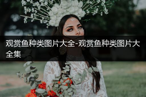 觀賞魚種類圖片大全-觀賞魚種類圖片大全集