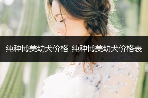 純種博美幼犬價(jià)格_純種博美幼犬價(jià)格表