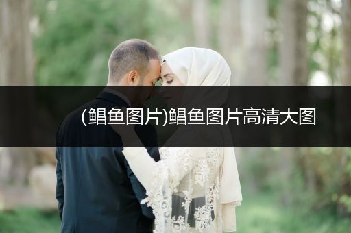 （鯧魚圖片)鯧魚圖片高清大圖