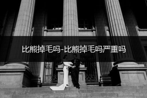 比熊掉毛嗎-比熊掉毛嗎嚴(yán)重嗎