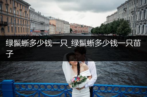 綠鬣蜥多少錢一只_綠鬣蜥多少錢一只苗子