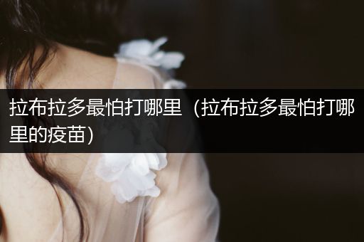 拉布拉多最怕打哪里（拉布拉多最怕打哪里的疫苗）