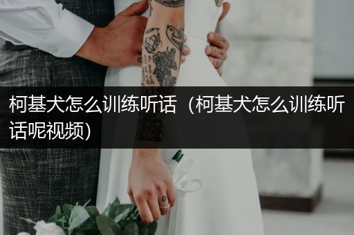 柯基犬怎么訓(xùn)練聽話（柯基犬怎么訓(xùn)練聽話呢視頻）