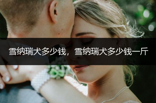 雪納瑞犬多少錢，雪納瑞犬多少錢一斤