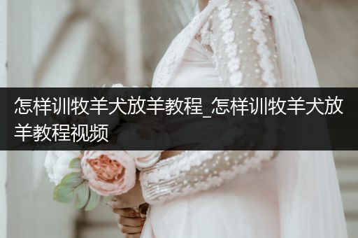 怎樣訓牧羊犬放羊教程_怎樣訓牧羊犬放羊教程視頻