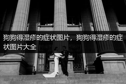 狗狗得濕疹的癥狀圖片，狗狗得濕疹的癥狀圖片大全