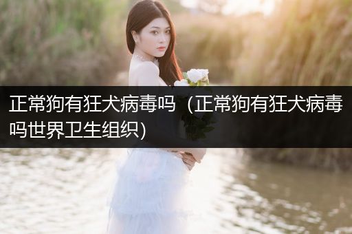 正常狗有狂犬病毒嗎（正常狗有狂犬病毒嗎世界衛(wèi)生組織）