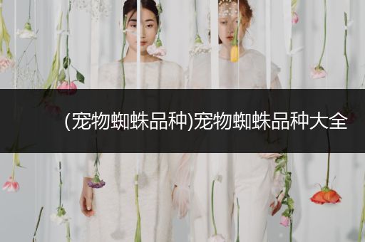 （寵物蜘蛛品種)寵物蜘蛛品種大全