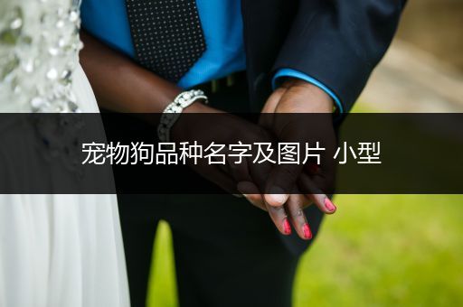 寵物狗品種名字及圖片 小型