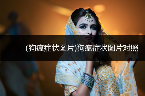 （狗瘟癥狀圖片)狗瘟癥狀圖片對照