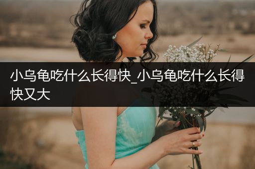 小烏龜吃什么長(zhǎng)得快_小烏龜吃什么長(zhǎng)得快又大