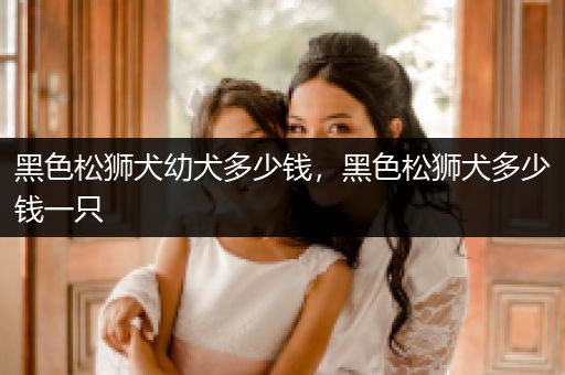 黑色松獅犬幼犬多少錢，黑色松獅犬多少錢一只