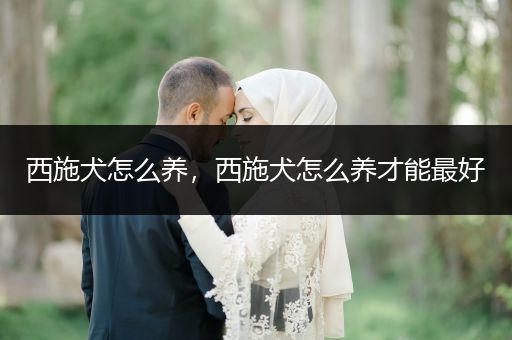 西施犬怎么養(yǎng)，西施犬怎么養(yǎng)才能最好