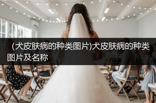 （犬皮膚病的種類圖片)犬皮膚病的種類圖片及名稱