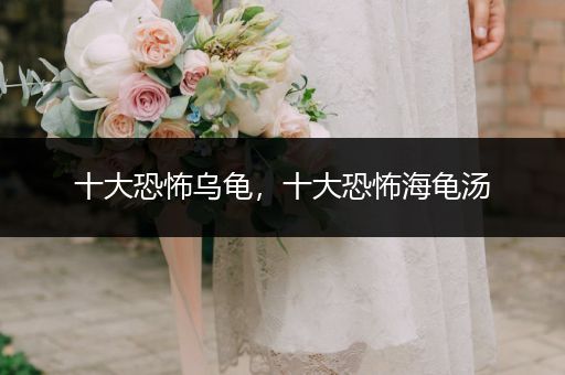 十大恐怖烏龜，十大恐怖海龜湯