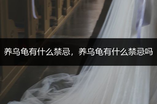 養(yǎng)烏龜有什么禁忌，養(yǎng)烏龜有什么禁忌嗎