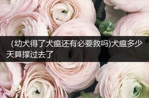 （幼犬得了犬瘟還有必要救嗎)犬瘟多少天算撐過去了