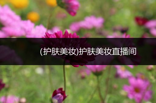 （護(hù)膚美妝)護(hù)膚美妝直播間