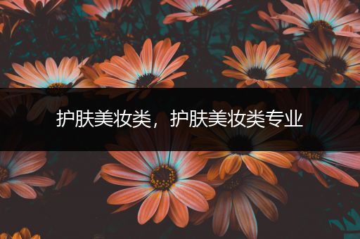護(hù)膚美妝類(lèi)，護(hù)膚美妝類(lèi)專(zhuān)業(yè)