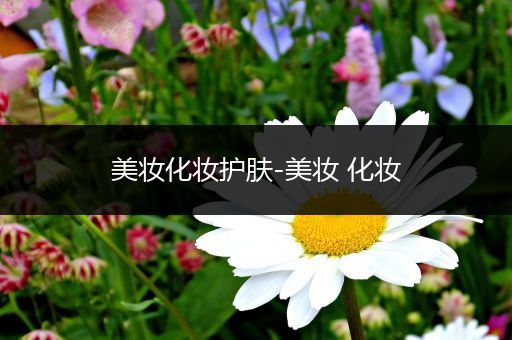 美妝化妝護(hù)膚-美妝 化妝