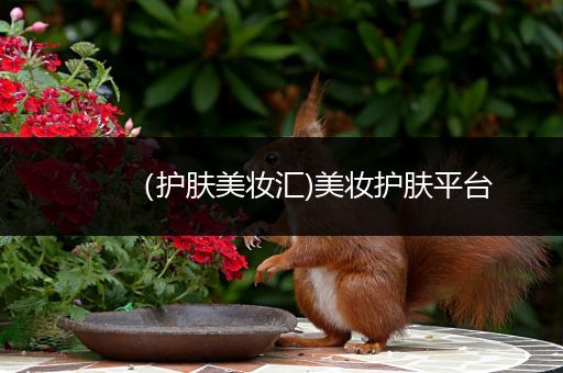 （護膚美妝匯)美妝護膚平臺
