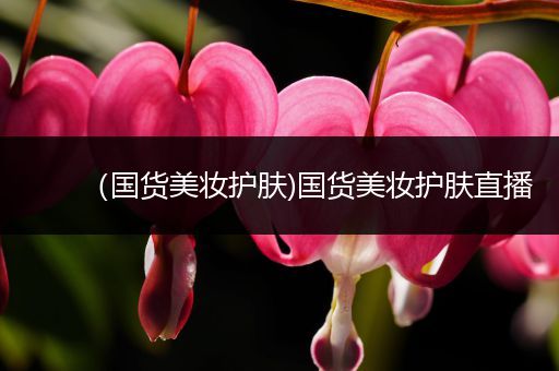 （國貨美妝護(hù)膚)國貨美妝護(hù)膚直播