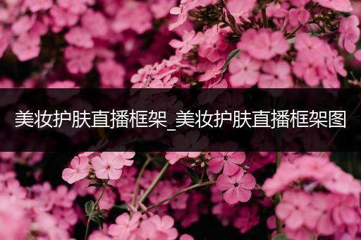 美妝護膚直播框架_美妝護膚直播框架圖