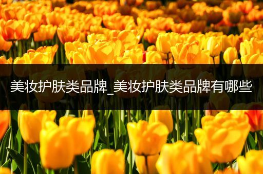 美妝護膚類品牌_美妝護膚類品牌有哪些