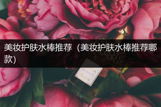美妝護膚水棒推薦（美妝護膚水棒推薦哪款）