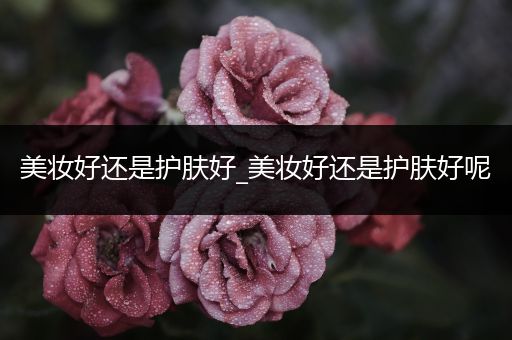 美妝好還是護膚好_美妝好還是護膚好呢